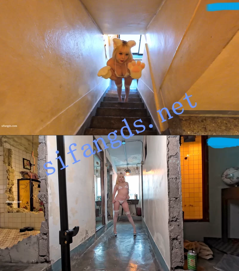 日韩模特 [韩模福利]zia写真vol.24大尺度猫咪情趣【114P+3V+5.4G】