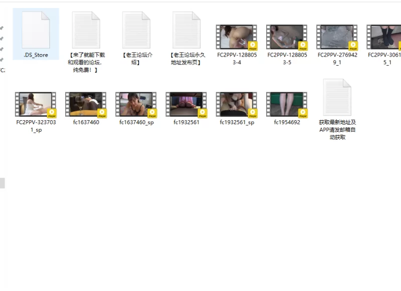 合集 不能错过的高质量FC2[原档●合集02]【25V+61G】