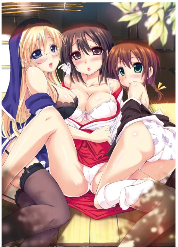 合集 个人汉化日本官能小说合集【+39M】