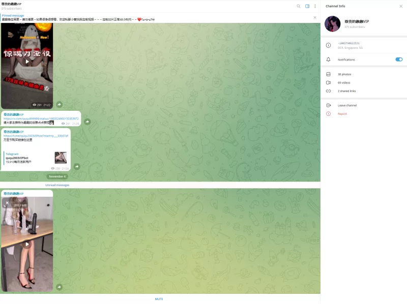 美腿/足控 趣趣（猫猫碎冰冰）11月6号新作 telegram自购 无第三方水印【1v+280M】