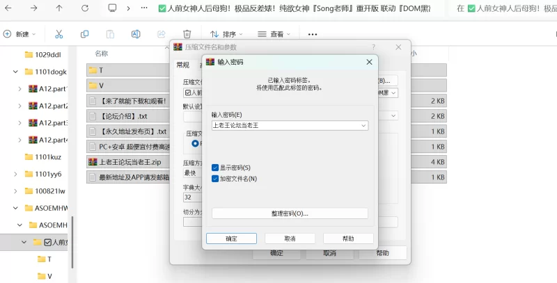 福利姬 纯欲女神『song老师』重开版联动『DOM黑宫』【NV+4.5G】
