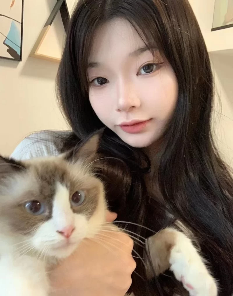 推特下山绵羊iyaofans视频资源【76V+268P+782M】