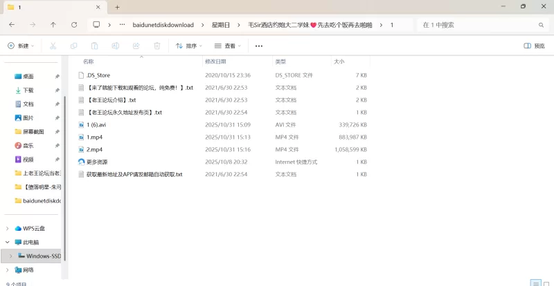自拍 毛Sir酒店约炮大二学妹❤️先去吃个饭再去啪啪【1v+2.17G】