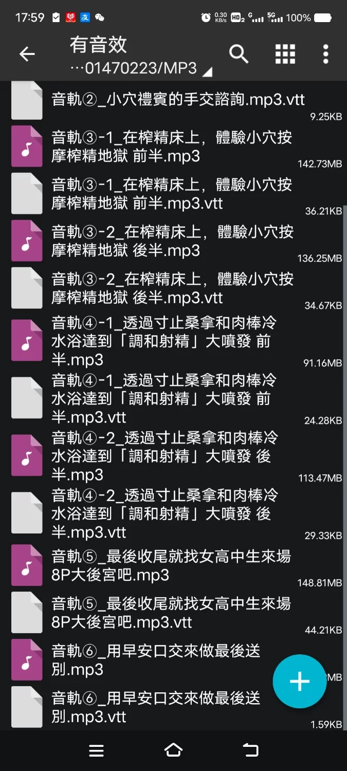 ASMR [繁体中文版][全程后宫最多8p]蜜宴礼仪司～奢华酒店的浓厚榨精极致款待【8V+1G】