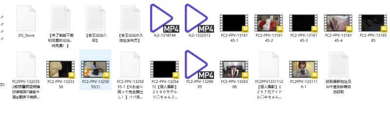 合集 不能错过的高质量FC2[原档●合集06]【22V+66G】