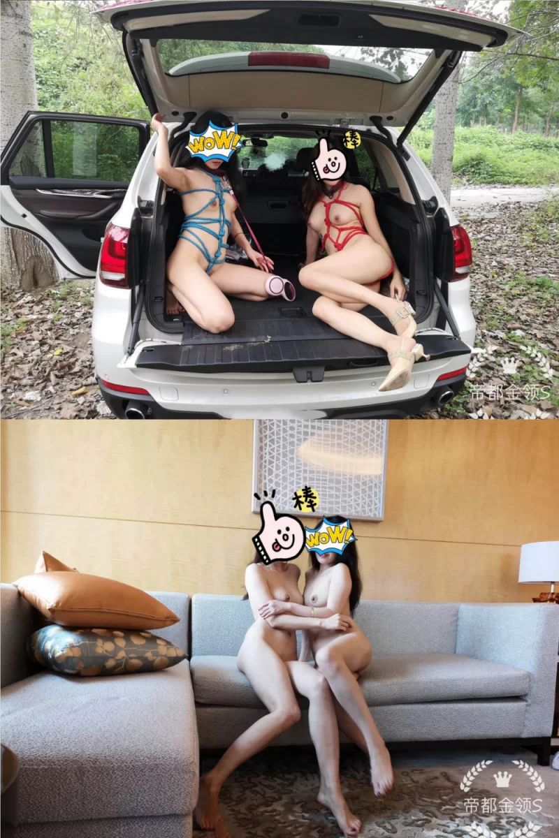 自拍 顶级调教大神『帝都金领S』最新调教视频，双飞姐妹花【多V+987M】