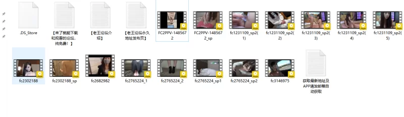 合集 不能错过的高质量FC2[原档●合集13]【22V+57G】