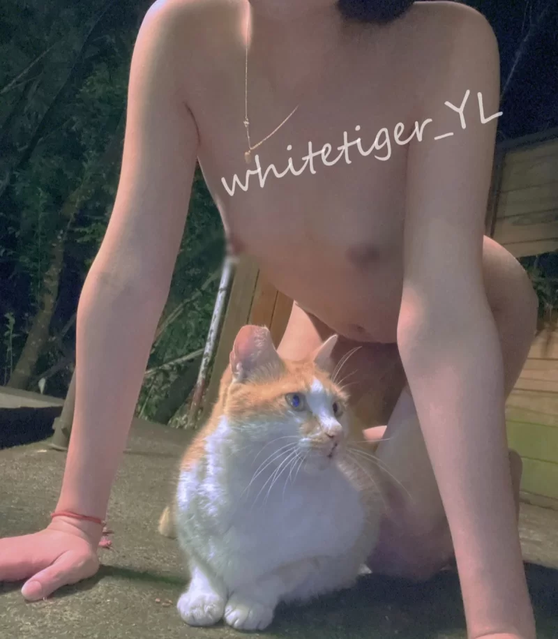 合集 推特 WHITE 合集【42V671P+1.33G】