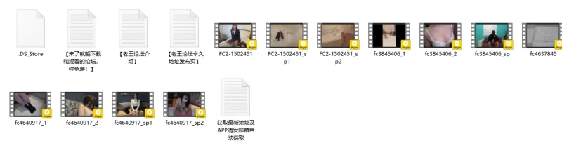 合集 不能错过的高质量FC2[原档●合集12]【30V+99G】