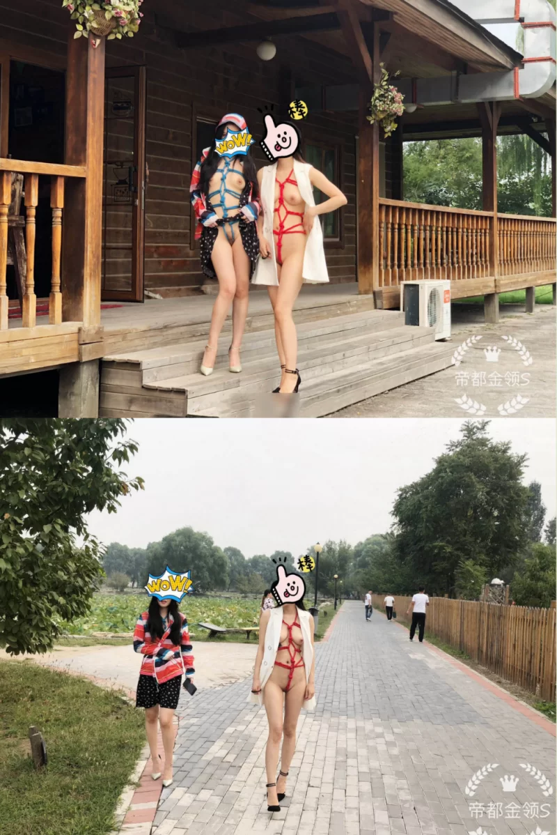 自拍 顶级调教大神『帝都金领S』最新调教视频，双飞姐妹花【多V+987M】