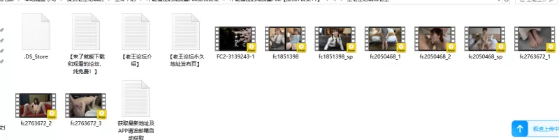 合集 不能错过的高质量FC2[原档●合集11]【26V+133G】