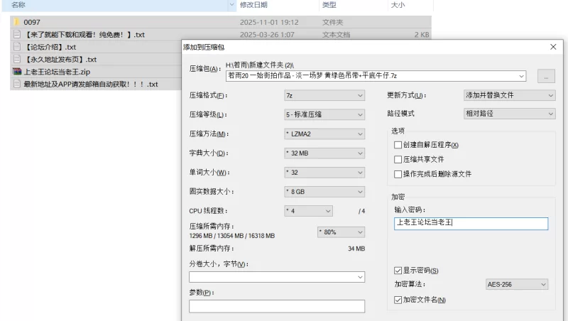 国产模特 街拍模特 若雨20 一始街拍作品 - 淡一场梦 黄绿色吊带+平【622P+1V+图片14.5G+视频15G】
