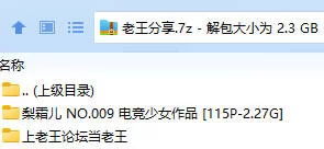 国产模特 梨霜儿 NO.009 秀人网私人内部  电竞少女作品【115P+2.27G】