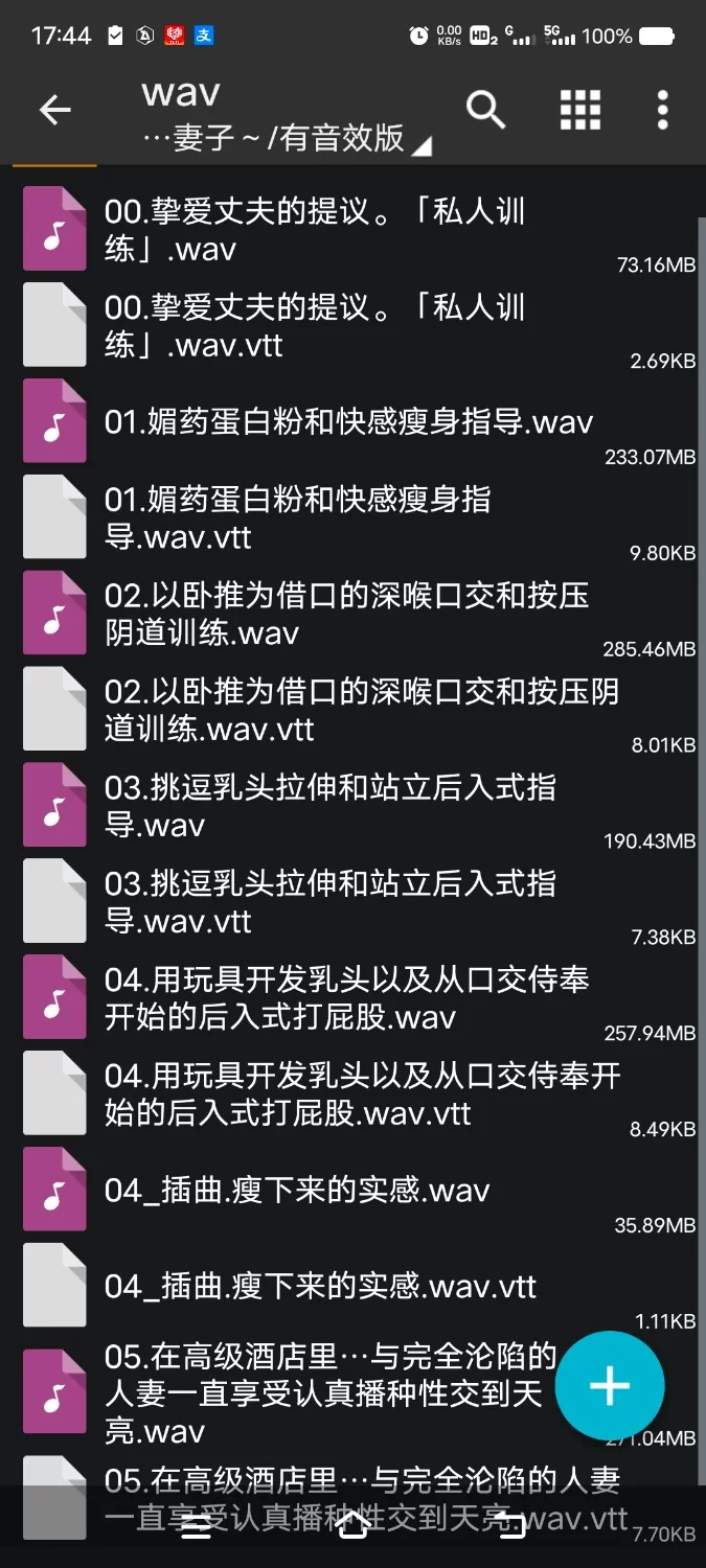 ASMR [简体中文版]NTR私人训练～沦陷于其他男人的肉棒的美女妻子【6V+1G】