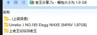 福利姬 Umeko J NO.185 Elegg NIKKE【94P6V+1.87GB】