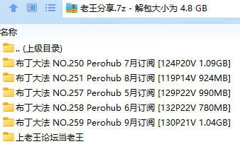 福利姬 布丁大法  Perohub订阅 5月到9月 5套【600p,99v+4.77G】