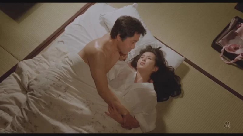 日本 春之钟 绝色美女【1+3.87G】