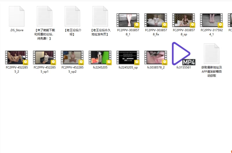 合集 不能错过的高质量FC2[原档●合集05]【25V+67G】